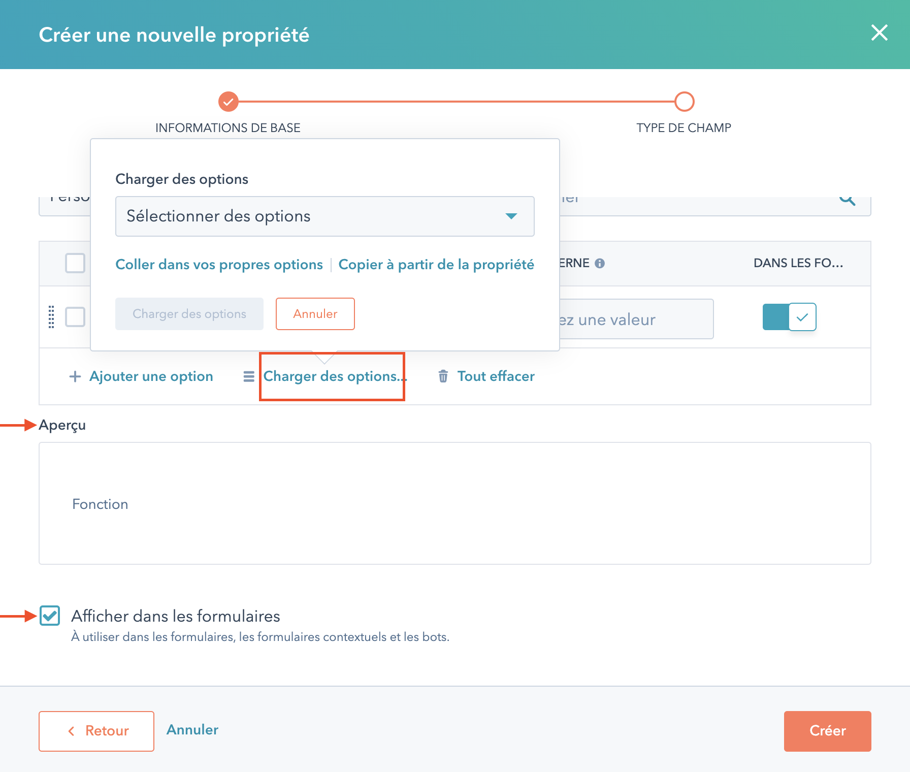 options-creer-propriete-hubspot