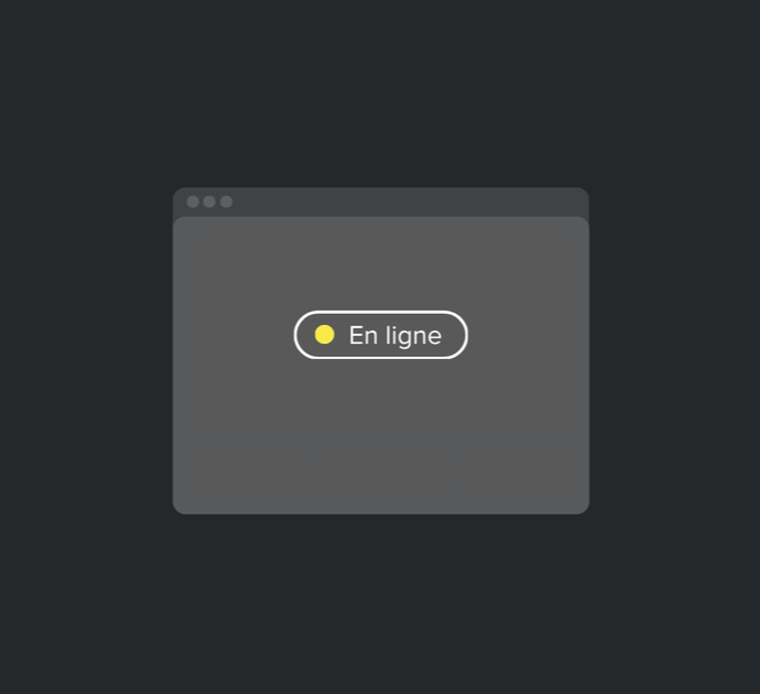 Mise en ligne & Optimisations