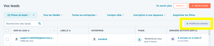 Ajuster les colonnes Leads HubSpot