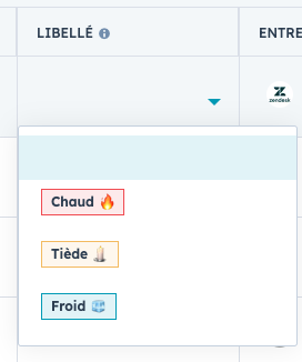 Libellé du lead HubSpot