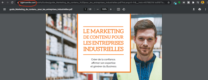 nom de domaine sur les fichiers téléchargés HubSpot