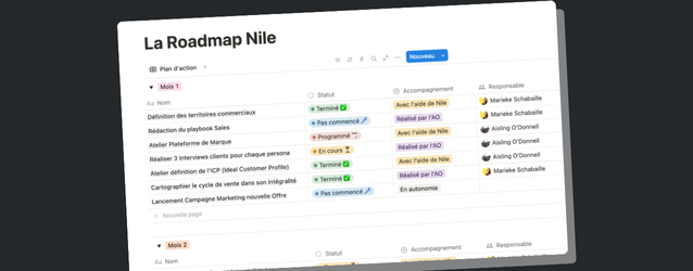 The roadmap_nile